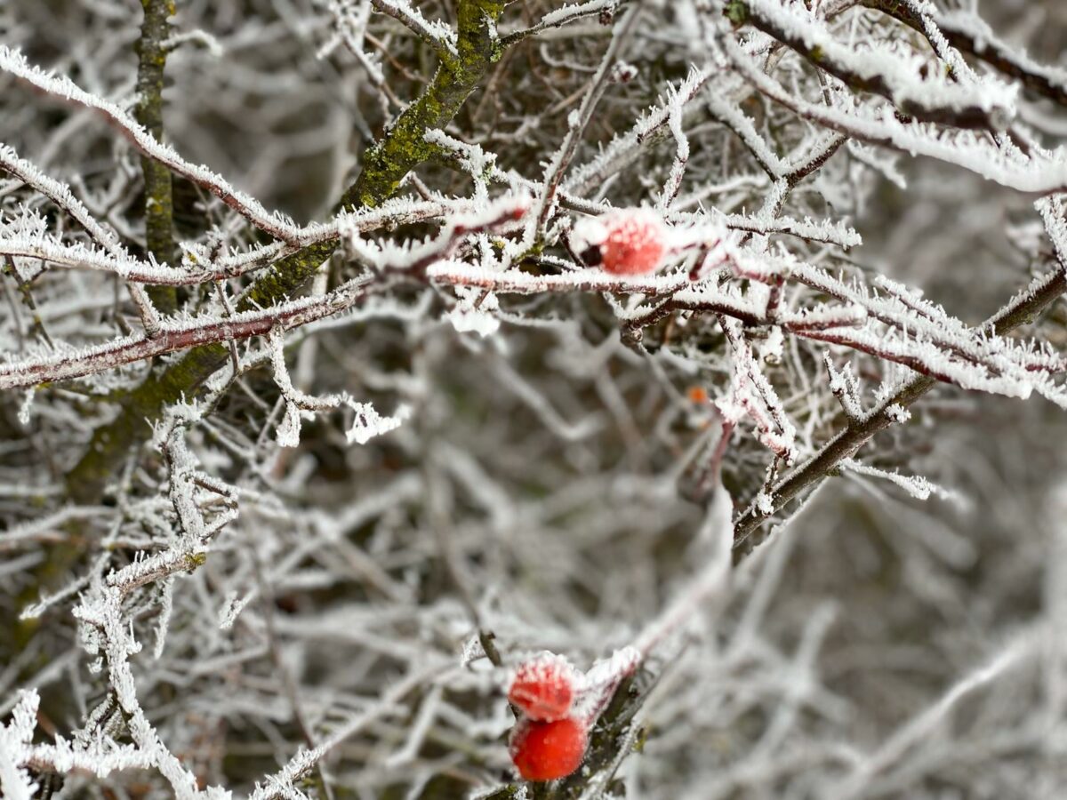 Wir begrüßen Sie in Ihrer dermatologischen Privatpraxis